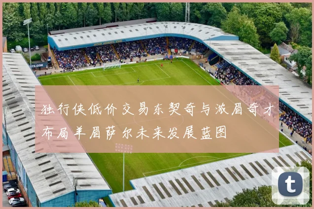 独行侠低价交易东契奇与浓眉奇才布局羊眉萨尔未来发展蓝图